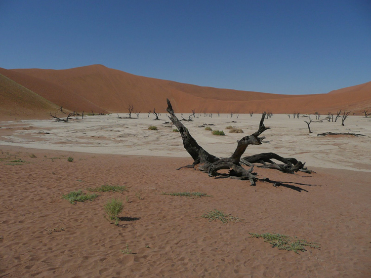 19  deadvlei.jpg